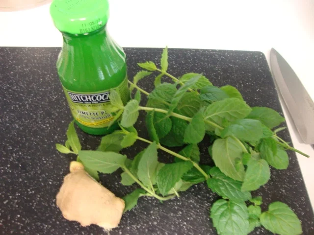 Erdbeerkonfitüre mit Minze und Ingwer - Rezept - Bild Nr. 3