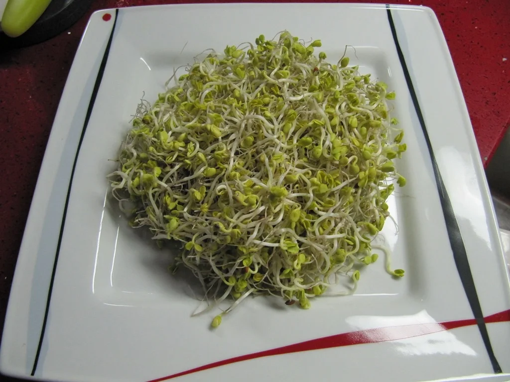 Schinkenwurst gebraten à la Biggi - Rezept - Bild Nr. 3