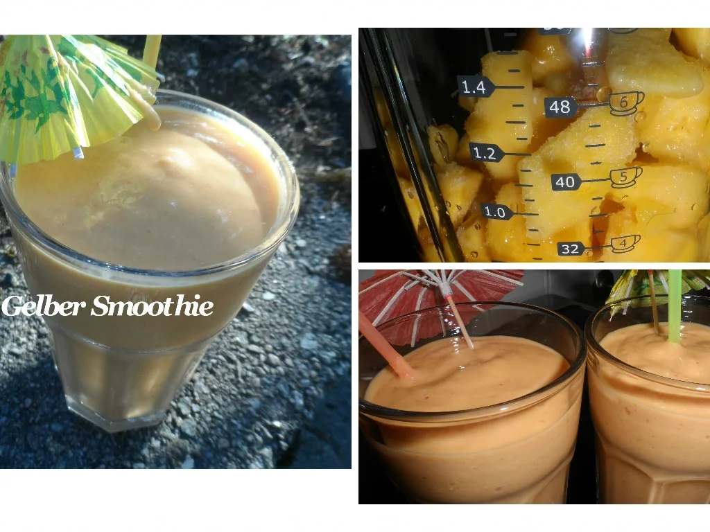 Rezept: BiNe ` S GELBER SMOOTHIE Bild Nr. 9 BiNe ` S GELBER SMOOTHIE - Rezept - Bild Nr. 9