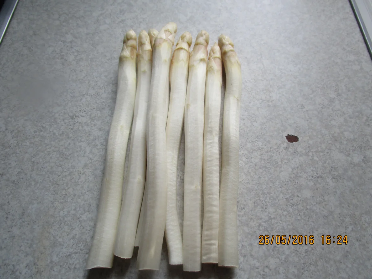 Spargel-Blätterteigtaschen überbacken - Rezept - Bild Nr. 5