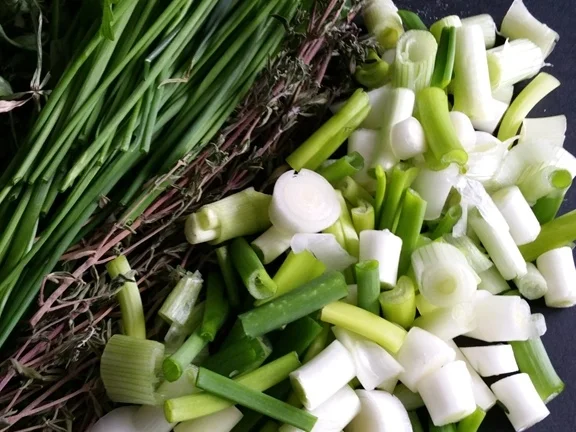 Rezept: Zaubergewürz aus Biggi`s Hexenküche Bild Nr. 5 Zaubergewürz aus Biggi`s Hexenküche - Rezept - Bild Nr. 5