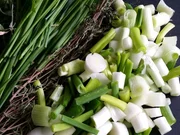 Zaubergewürz aus Biggi`s Hexenküche - Rezept - Bild Nr. 5