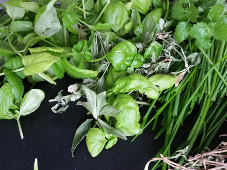 Rezept: Zaubergewürz aus Biggi`s Hexenküche Bild Nr. 4 Zaubergewürz aus Biggi`s Hexenküche - Rezept - Bild Nr. 4