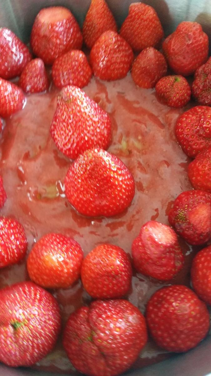 Erdbeer Joghurt Eistorte - Rezept - Bild Nr. 16