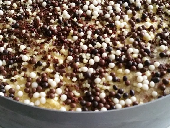 Rezept: Erdbeer Joghurt Eistorte Bild Nr. 23 Erdbeer Joghurt Eistorte - Rezept - Bild Nr. 23