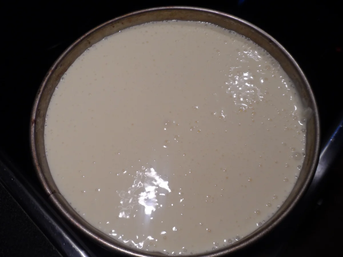 BiNe` S APFEL - KÄSEKUCHEN - Rezept - Bild Nr. 6