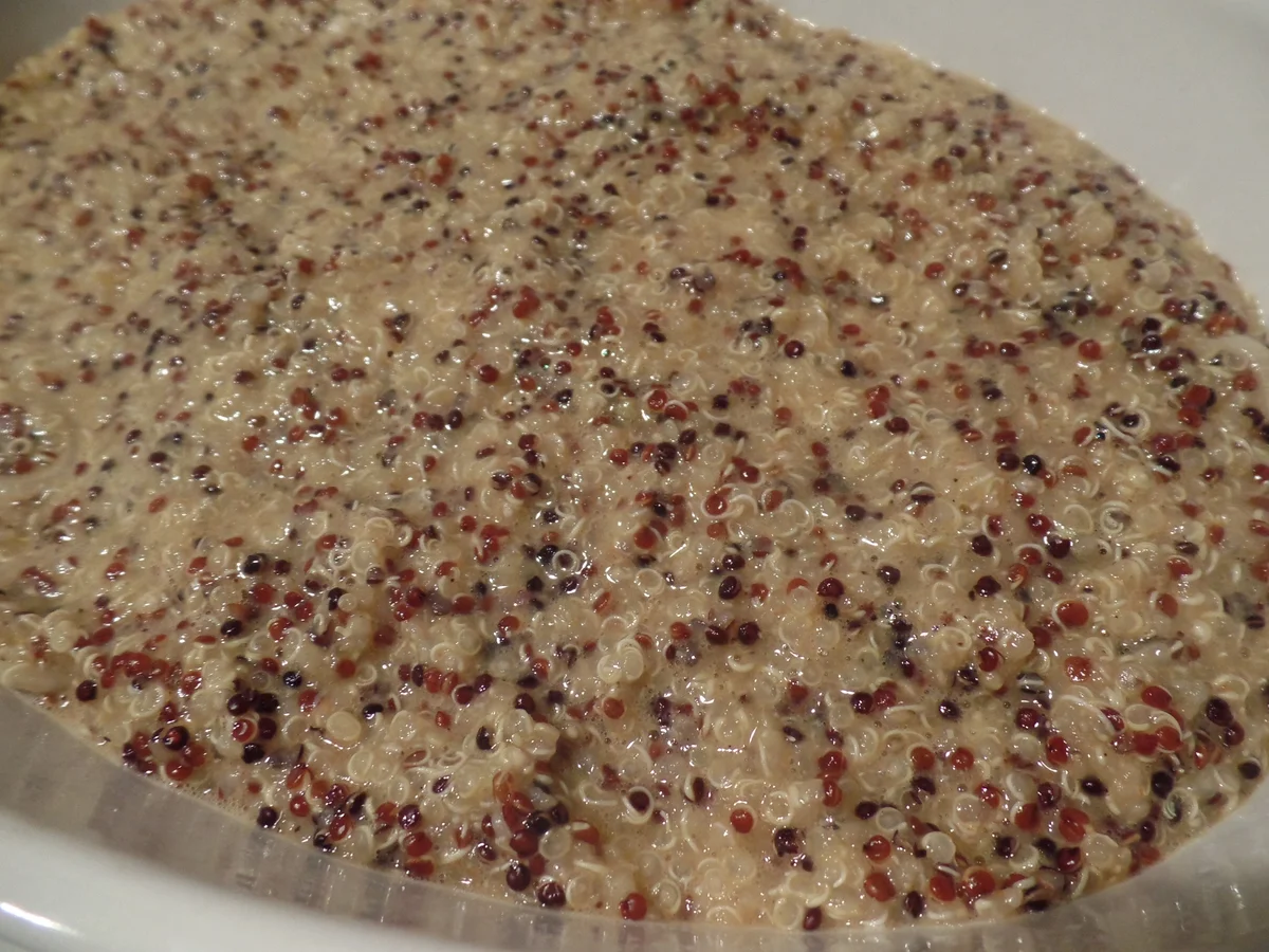 Rezept: Quinoa-Auflauf Bild Nr. 8 Quinoa-Auflauf - Rezept - Bild Nr. 8