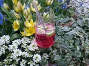 Granatapfel-Martini - Rezept
