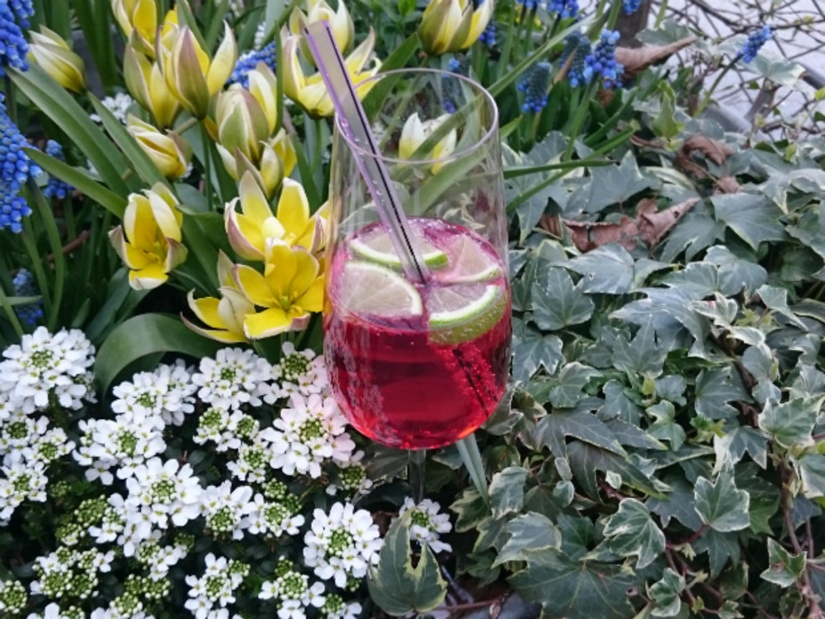 Granatapfel-Martini Rezept Durch Das perfekte Dinner