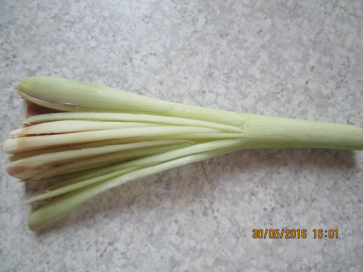 Gebratene Garnelen aus der Asiaküche - Rezept - Bild Nr. 8