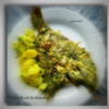 Scholle in Kerbelsahne - Rezept