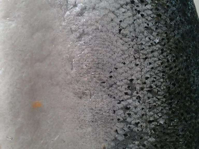 Rezept: Lachsfilet in Safrancremesosse à la Biggi Lachsfilet in Safrancremesosse à la Biggi - Rezept