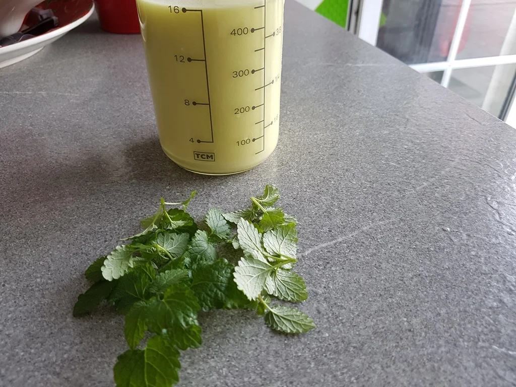 Fruchtbombe eine Torte à la Biggi - Rezept - Bild Nr. 12