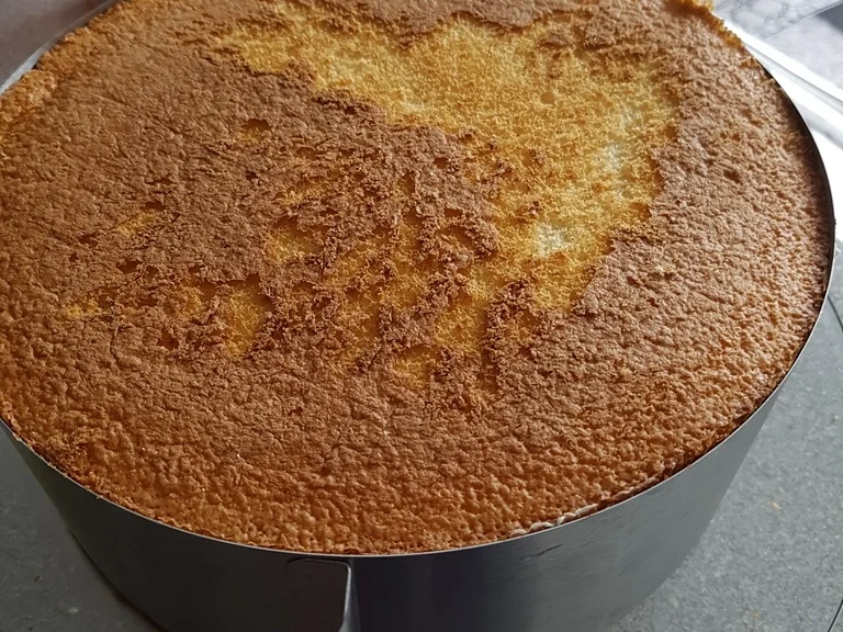 Fruchtbombe eine Torte à la Biggi - Rezept - Bild Nr. 17