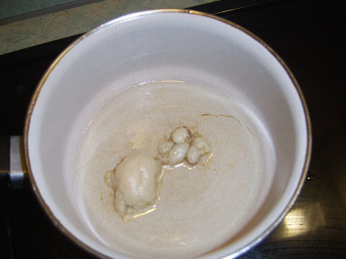 Sommerente asiatisch - Rezept - Bild Nr. 5