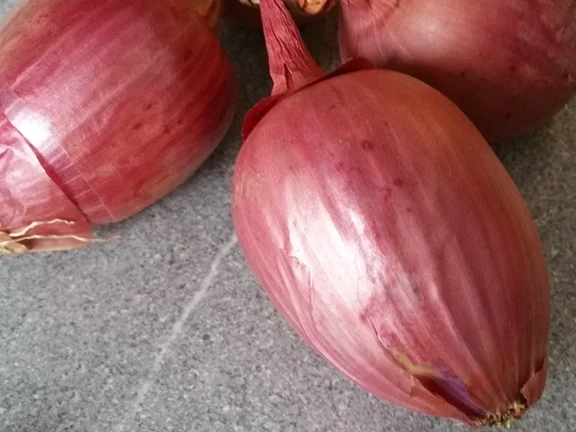 Rezept: Einfach nur Salat (Basis für viele Variationen) Bild Nr. 7 Einfach nur Salat (Basis für viele Variationen) - Rezept - Bild Nr. 7