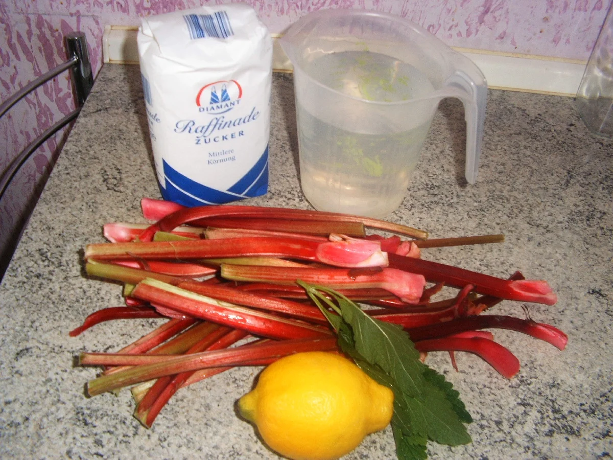 Rhabarbersirup - Rezept - Bild Nr. 3