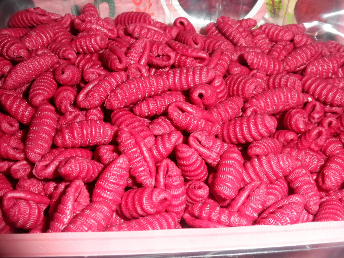 Rezept: BiNe` S ROTE BETE PASTA MIT CHAMPIGNON - PESTO Bild Nr. 5 BiNe` S ROTE BETE PASTA MIT CHAMPIGNON - PESTO - Rezept - Bild Nr. 5