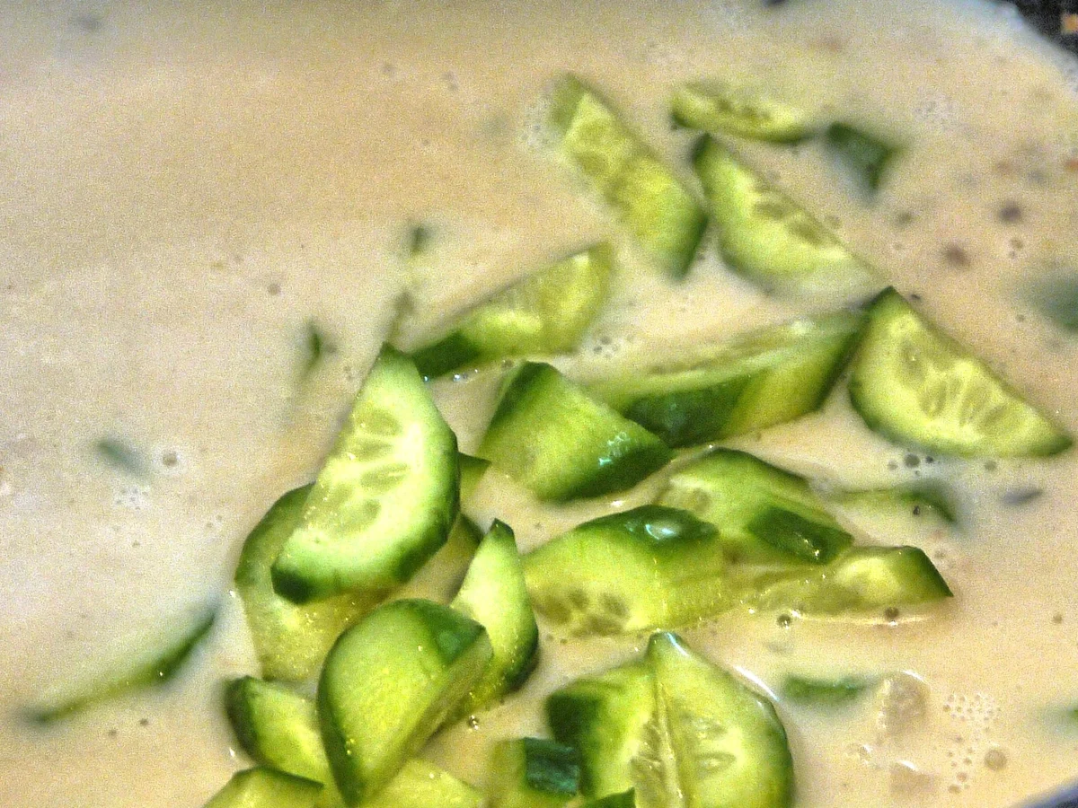 Rezept: Hähnchenbrust mit Rahmgurken Bild Nr. 9 Hähnchenbrust mit Rahmgurken - Rezept - Bild Nr. 9