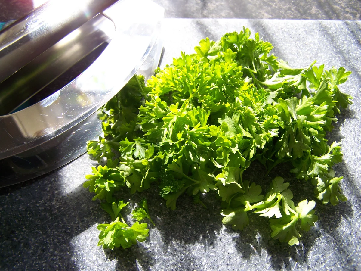 Rezept: Kleine scharfe Rolle... Bild Nr. 3 Kleine scharfe Rolle... - Rezept - Bild Nr. 3