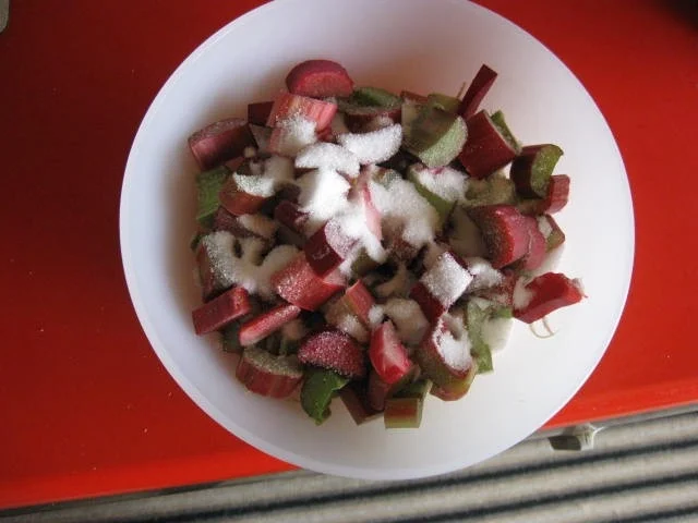 Rhabarberkuchen mit Kokosraspel - Rezept - Bild Nr. 4