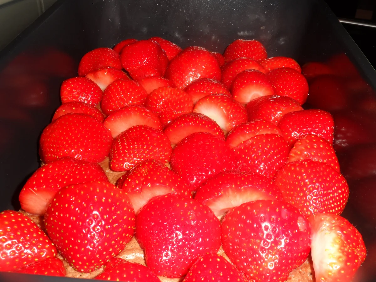 BiNe` S SCHWARZ ROT GOLD - Rezept - Bild Nr. 7