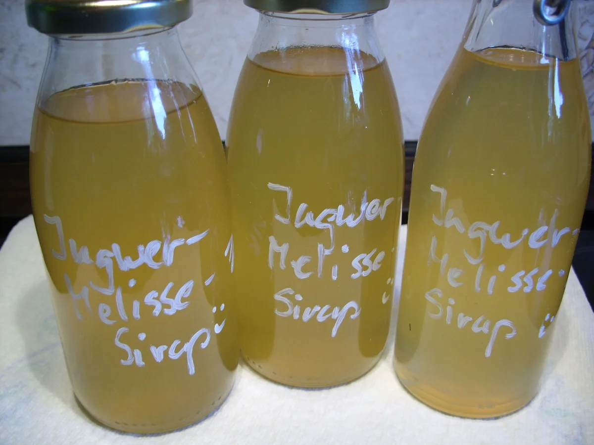 Vorrat: Ingwer-Melissen-Zitronen-Sirup - Rezept