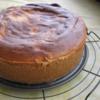 Buttermilch Käsekuchen mit Mandarinen - Rezept - Bild Nr. 33