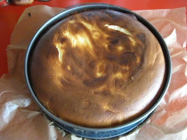 Buttermilch Käsekuchen mit Mandarinen - Rezept - Bild Nr. 40