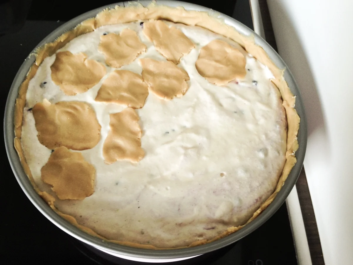 Rezept: Heller Zupfkuchen mit Heidelbeeren Bild Nr. 36 Heller Zupfkuchen mit Heidelbeeren - Rezept - Bild Nr. 36