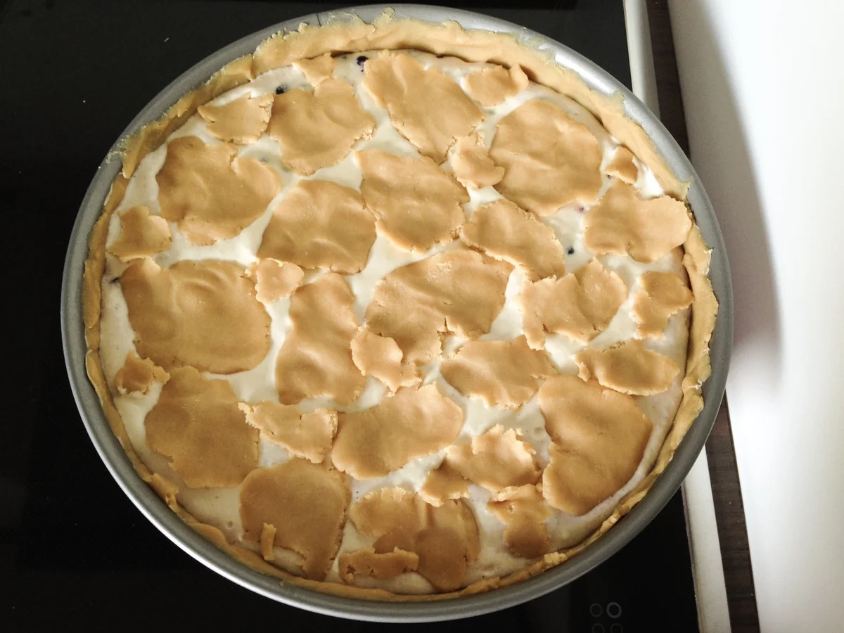 Rezept: Heller Zupfkuchen mit Heidelbeeren Bild Nr. 37 Heller Zupfkuchen mit Heidelbeeren - Rezept - Bild Nr. 37