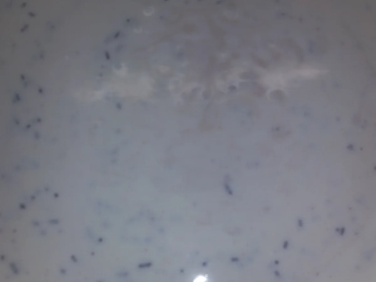 Rezept: Himbeer Torte Bild Nr. 29 Himbeer Torte - Rezept - Bild Nr. 29