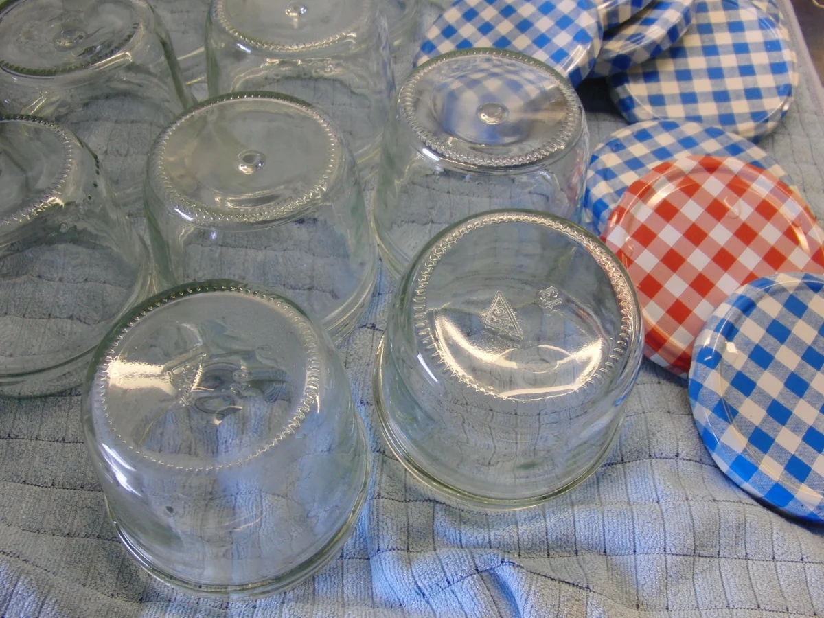 Rezept: HOLUNDERBLÜTEN - GELEE Bild Nr. 101 HOLUNDERBLÜTEN - GELEE - Rezept - Bild Nr. 101