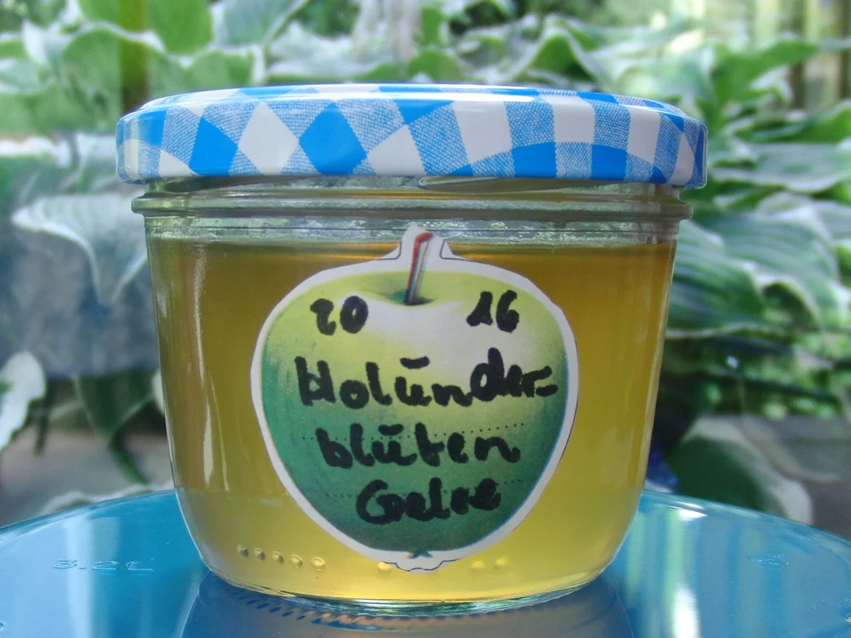 Rezept: HOLUNDERBLÜTEN - GELEE Bild Nr. 103 HOLUNDERBLÜTEN - GELEE - Rezept - Bild Nr. 103