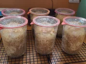 Toastbrot - Weissbrot im Glas gebacken - Rezept - Bild Nr. 30