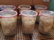 Toastbrot - Weissbrot im Glas gebacken - Rezept - Bild Nr. 30