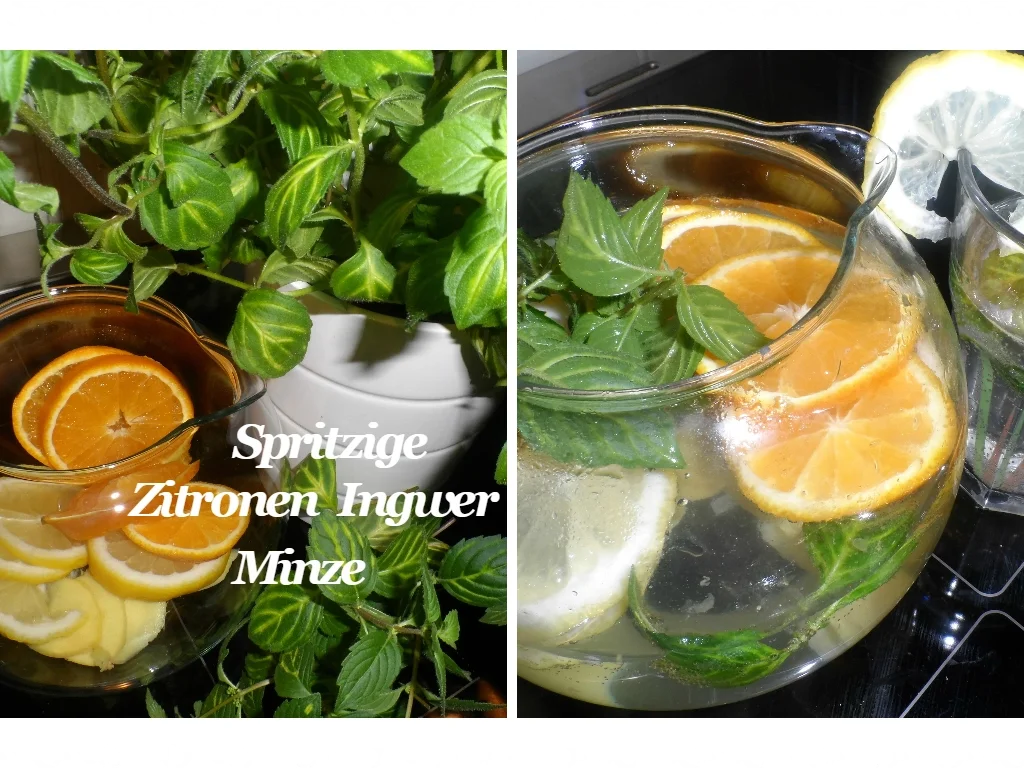 BiNe´ S SPRITZIGE ZITRONEN - INGWER - MINZE - Rezept - Bild Nr. 2