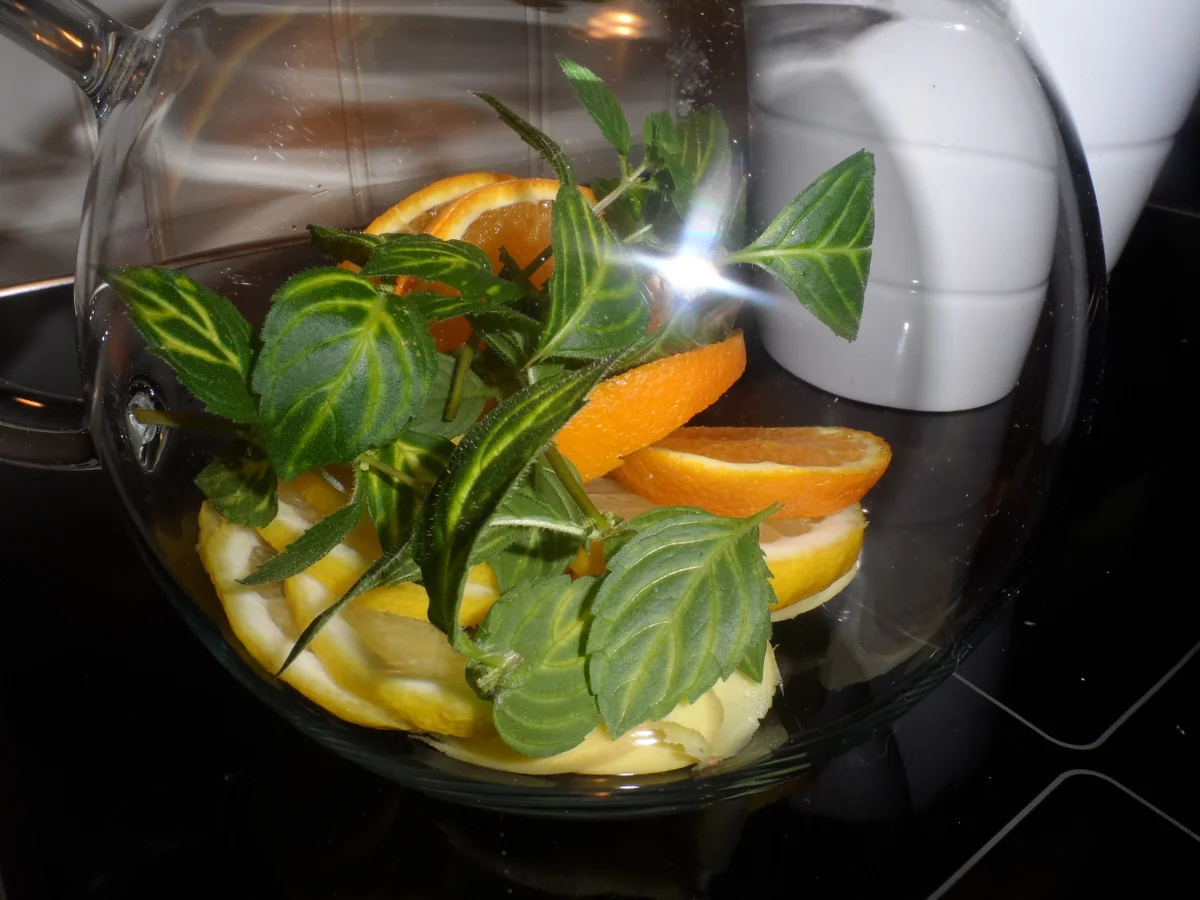 BiNe´ S SPRITZIGE ZITRONEN - INGWER - MINZE - Rezept - Bild Nr. 4