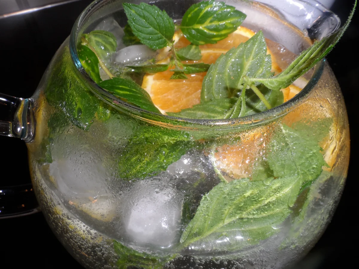 BiNe´ S SPRITZIGE ZITRONEN - INGWER - MINZE - Rezept - Bild Nr. 6