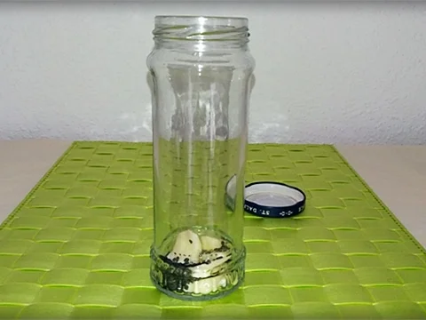 Rezept: Schwarzer Sesam- Knoblauch Essig selbst gemacht Bild Nr. 45 Schwarzer Sesam- Knoblauch Essig selbst gemacht - Rezept - Bild Nr. 45