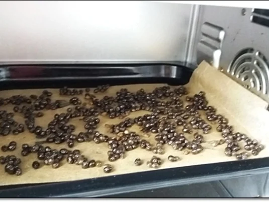 Papayapfeffer  selbst  herstellen - Rezept - Bild Nr. 45