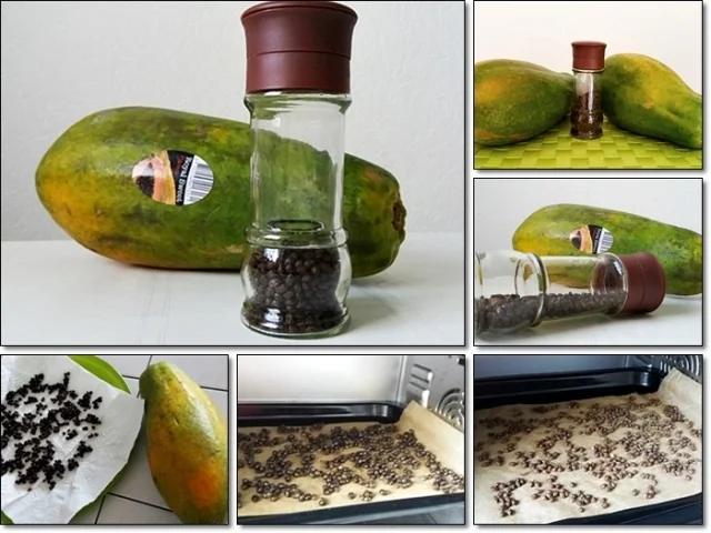 Papayapfeffer  selbst  herstellen - Rezept - Bild Nr. 41