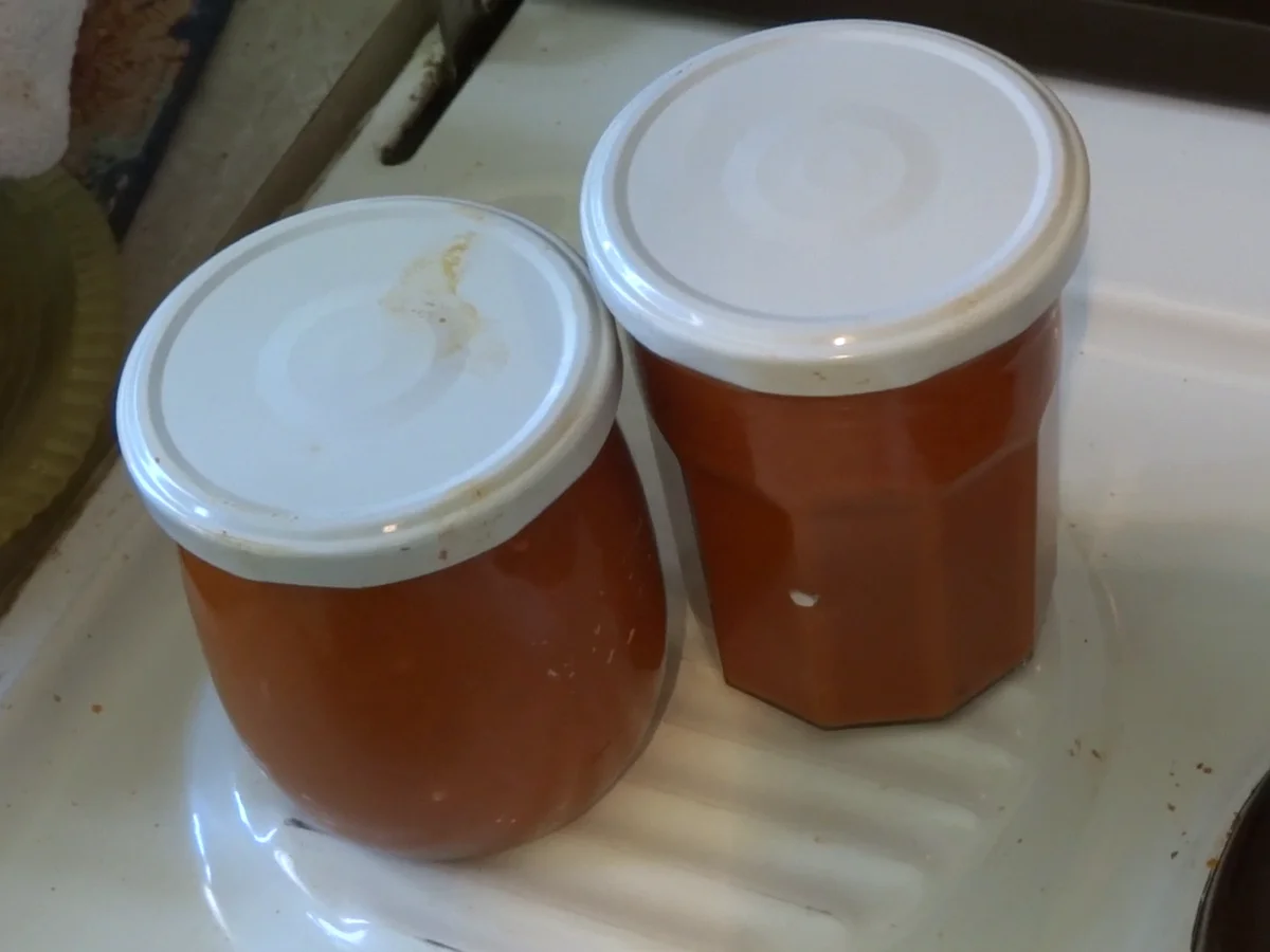 Low Carb Ketchup - Rezept - Bild Nr. 45