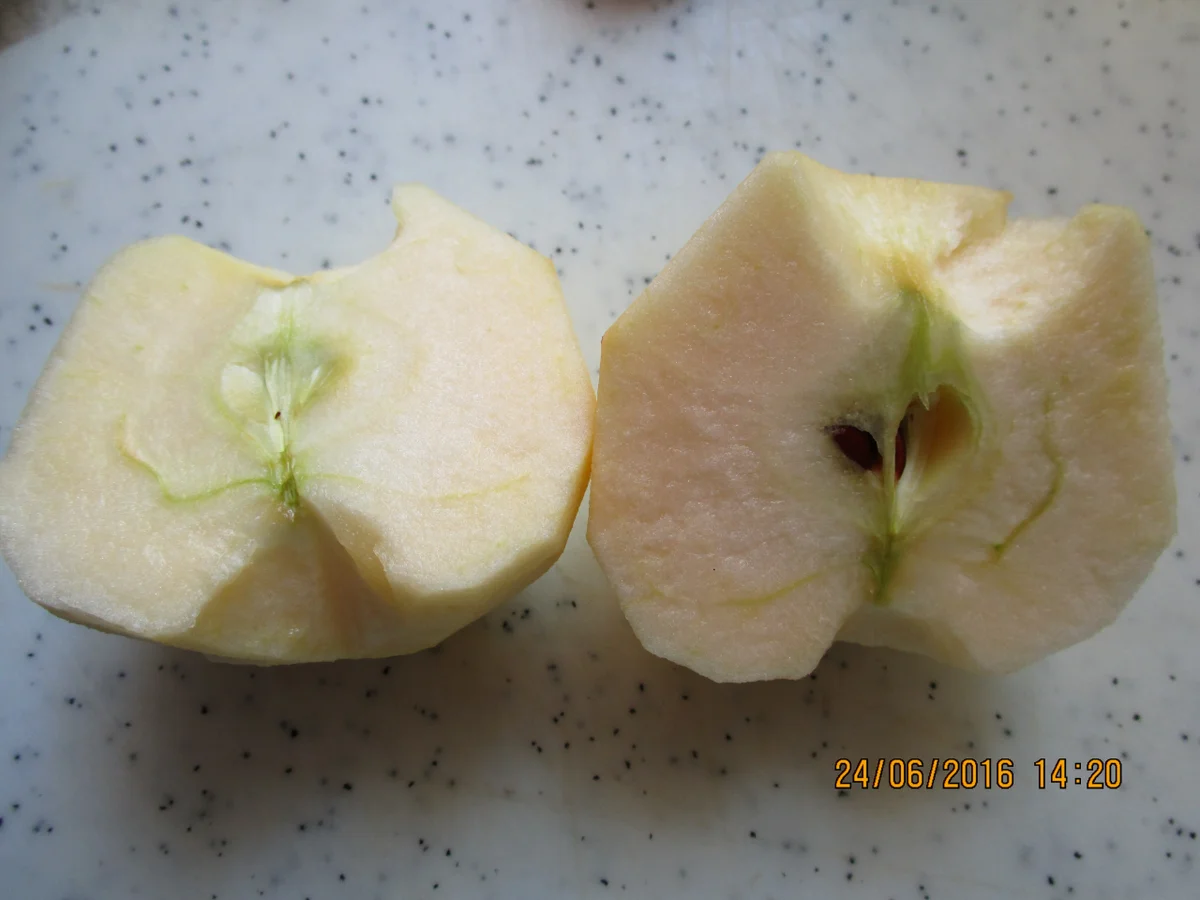 Leichter Kartoffel-Salat - Rezept - Bild Nr. 56