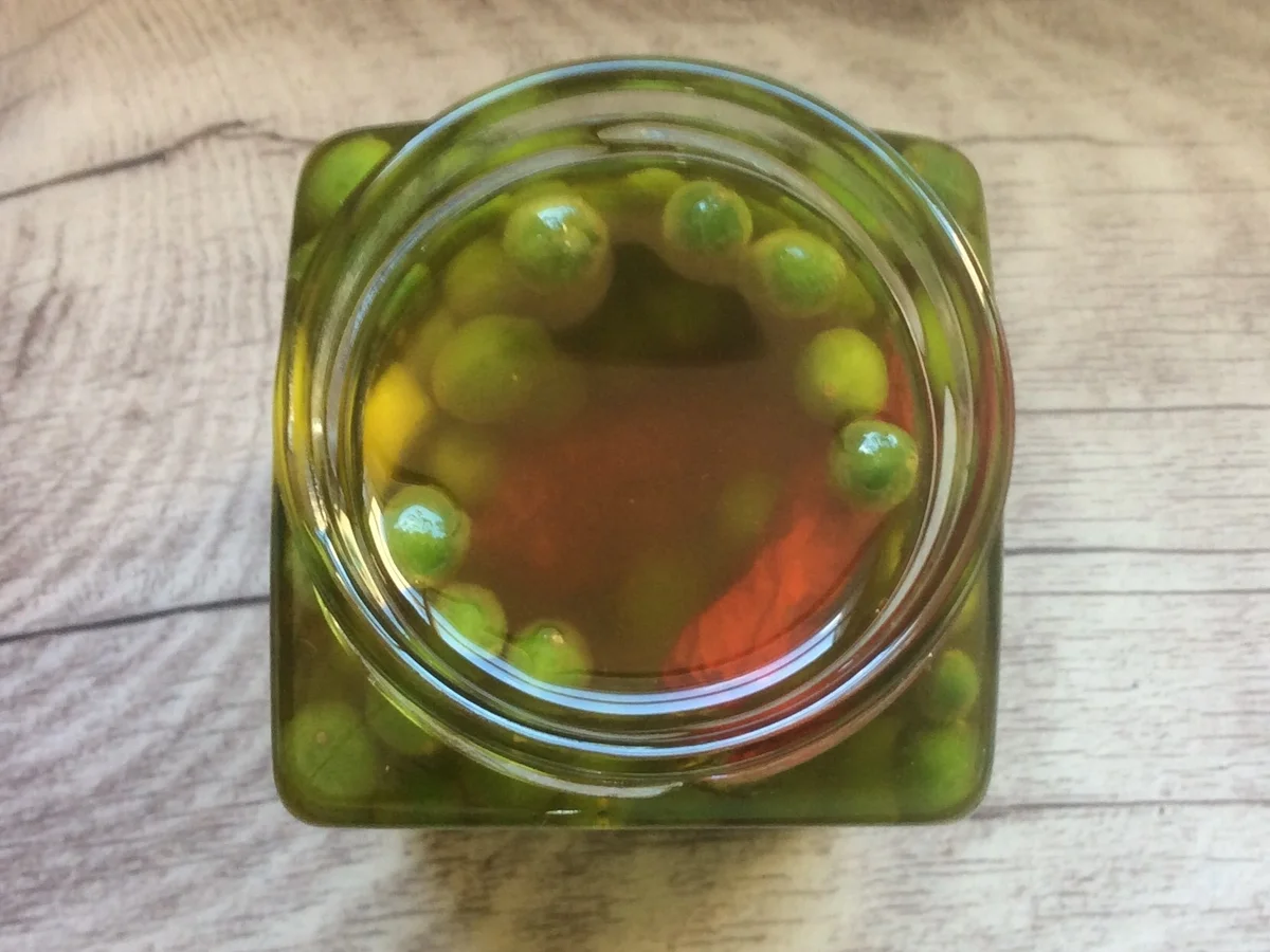 Rezept: Linden-Kapern in Olivenöl eingelegt Bild Nr. 48 Linden-Kapern in Olivenöl eingelegt - Rezept - Bild Nr. 48