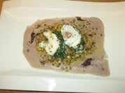 Steinbeißer-Lachs-Rouladen im Kräutermantel auf bunten Linsen mit violetter Senfsoße - Rezept