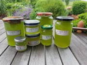 Minzgelee mit Chili - Rezept - Bild Nr. 61