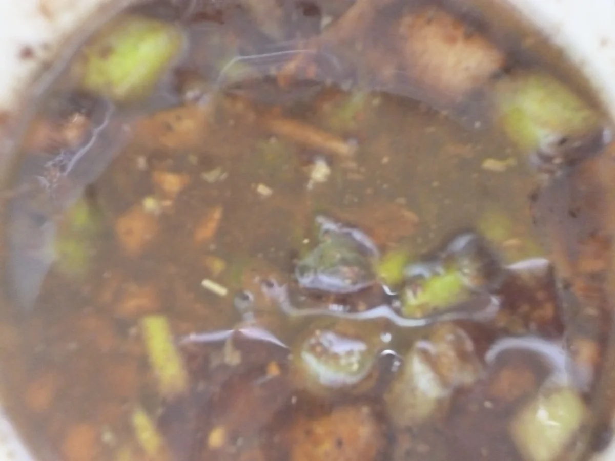 Gebackene Szechuan-Ente - Rezept - Bild Nr. 66