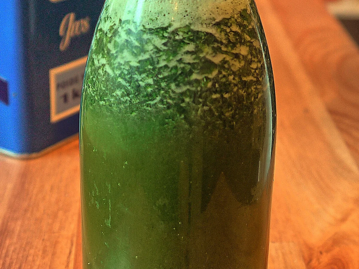 Panna Cotta mit Basilikumsauce und frischen Beeren - Rezept - Bild Nr. 97