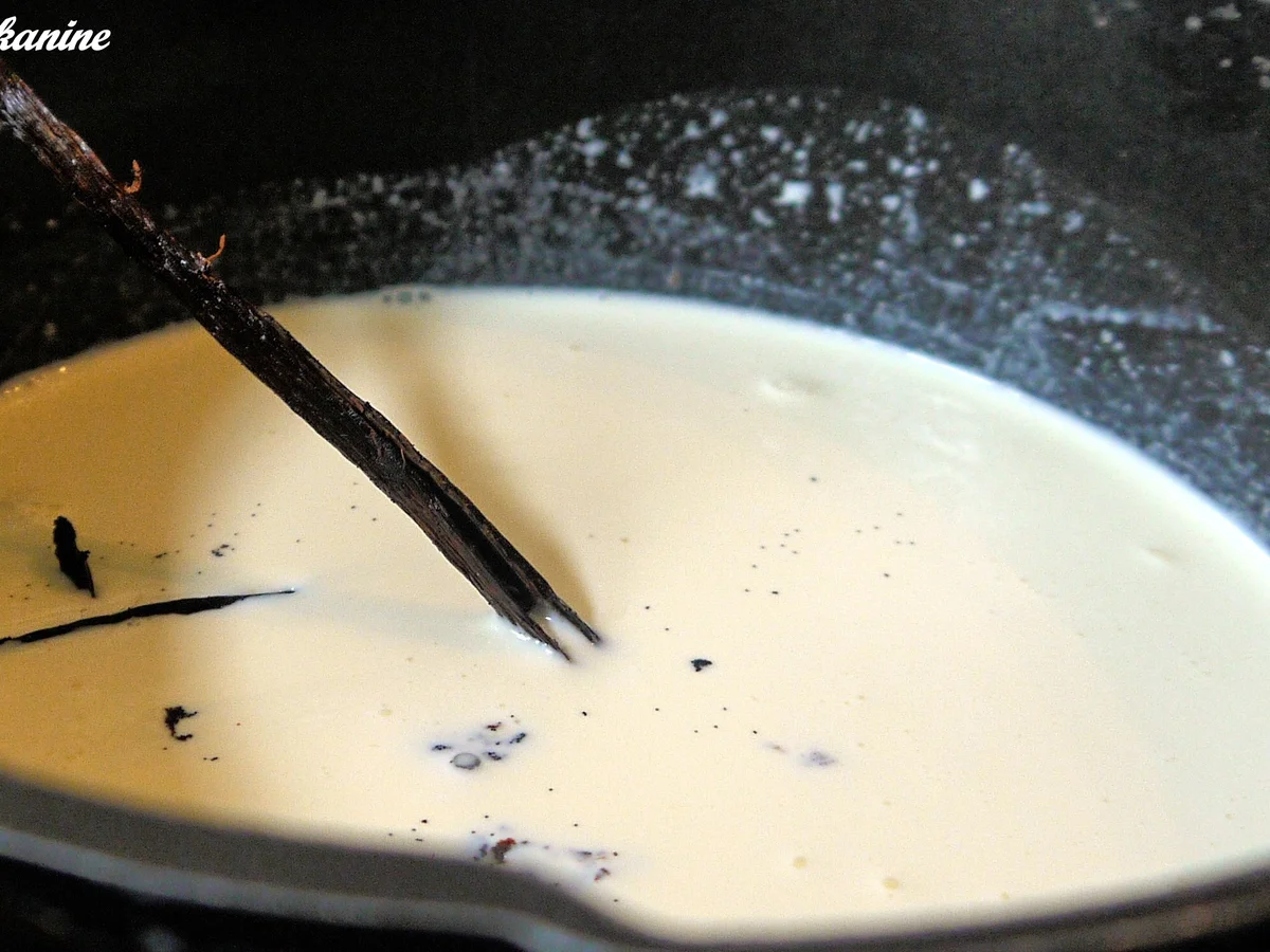 Panna Cotta mit Basilikumsauce und frischen Beeren - Rezept - Bild Nr. 96